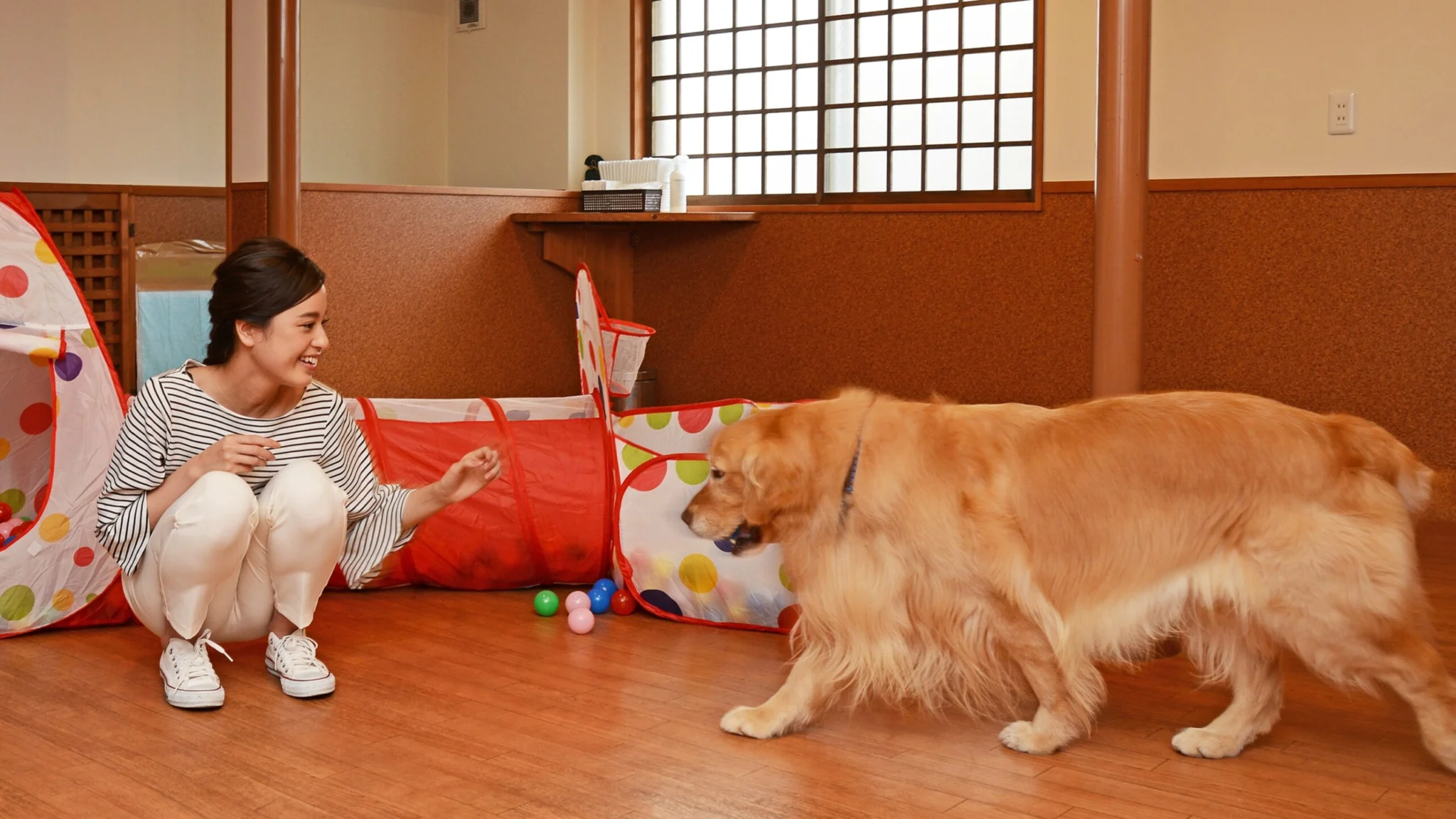施設　ミニドッグラン